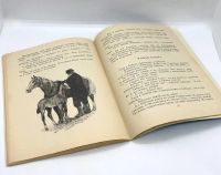 Лот: 25243642. Фото: 10. 📘 Л. Воронкова. Солнечный денёк...