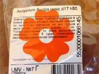 Лот: 11126241. Фото: 4. Антуриум Андре, диаметр горшка... Красноярск