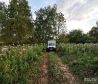 Лот: 18343915. Фото: 10. Ароматный мёд в подарок с ложечкой...