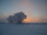 Лот: 17115636. Фото: 4. Olympus E-PL-5 (пробег 7200+ ). Красноярск