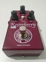 Лот: 17306159. Фото: 2. AMT RY-1 Reverberry (Цифровой... Профессиональный звук