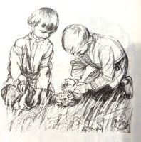 Лот: 19550444. Фото: 12. Толстой Лев - Ясная поляна. Рассказы...