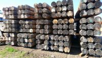 Лот: 16034479. Фото: 2. Оцилиндрованное бревно для строительства... Строительные материалы