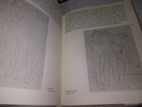 Лот: 19983931. Фото: 11. Фотоальбом Picasso на чешском...