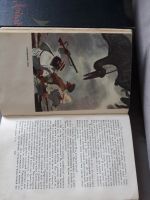 Лот: 15567955. Фото: 2. Конан Дойль. Собрание сочинений... Литература