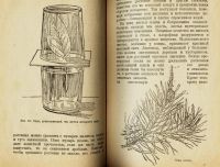 Лот: 15173877. Фото: 5. учебник ботаники 1922 год издания...