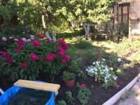 Лот: 15819100. Фото: 5. Дача