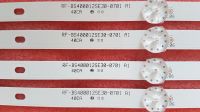 Лот: 15298886. Фото: 5. 193 LED String 4 шт, RF-BS400012SE30-0701...
