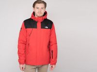 Лот: 17096222. Фото: 2. Куртка The North Face (18378). Мужская одежда