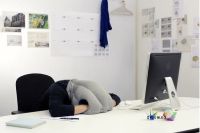 Лот: 3592483. Фото: 3. Подушка страуса. Сувениры, подарки