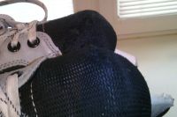 Лот: 14919663. Фото: 2. коньки Nordway (размер 41-42). Спортивные товары