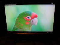 Лот: 21445549. Фото: 2. 24" Монитор Acer G24oid, 1920x1200... Мониторы, проекторы