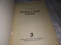 Лот: 17081211. Фото: 3. Коровкин, Б.Ф. Ферменты в жизни... Литература, книги