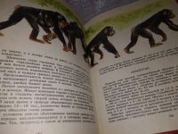 Лот: 9176756. Фото: 12. (3092309)Игорь Сосновский, О редких...