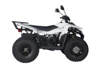 Лот: 25659416. Фото: 6. Квадроцикл BALTMOTORS Jam 100