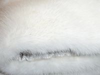 Лот: 3224467. Фото: 3. Модная норковая шуба. Одежда, обувь, галантерея