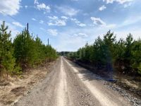 Лот: 25334839. Фото: 11. участок , СНТ Гринбург Кедровая...