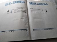 Лот: 18440702. Фото: 3. Жизнь животных в 6 томах, В наличии... Литература, книги