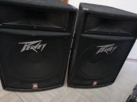 Лот: 16862093. Фото: 2. Колонки Peavey TLS-5. Профессиональный звук