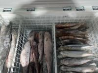 Лот: 24846483. Фото: 2. Рыба свежемороженая. Продукты
