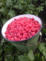 Лот: 15790994. Фото: 6. Участок 7 сот. СНТ "Солнечное-12...