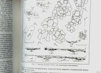 Лот: 16227235. Фото: 5. Енисейская Сибирь.*Археологические...