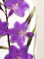 Лот: 24662383. Фото: 3. Органайзер для украшений / сухоцветы... Красноярск