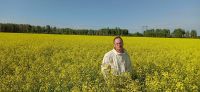 Лот: 16859979. Фото: 5. Васильково-рапсовый мёд,разнотравье...