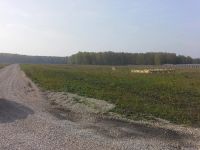 Лот: 7866933. Фото: 6. 10соток ИЖС в коттеджном поселке...