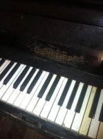 Лот: 2053922. Фото: 2. Прекрасное пианино G.Phillip. Музыкальные инструменты