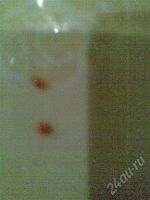 Лот: 585624. Фото: 2. пайетки + бисер очень много... Вязание, шитье