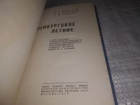 Лот: 21164939. Фото: 2. oz(1092334) Оренбургское летное... Литература, книги