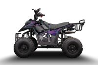 Лот: 25659157. Фото: 3. Квадроцикл RAPTOR 150 Universal. Авто, мото, водный транспорт