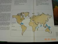 Лот: 10991254. Фото: 3. Книга Чудеса Красного моря. Коллекционирование, моделизм