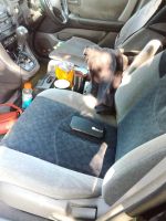 Лот: 18450183. Фото: 7. Toyota Harrier