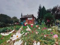 Лот: 25720826. Фото: 4. 3-комн. дача , садоводческое некоммерческое... Красноярск