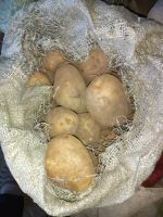 Лот: 16434873. Фото: 2. Картофель прошлогодний хороший. Продукты
