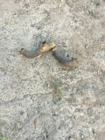 Лот: 11856704. Фото: 6. Запчасти на ваз 2