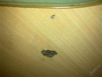 Лот: 1601771. Фото: 2. компьютерный стол. Мебель для гостиной