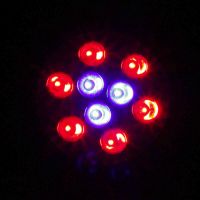 Лот: 3272942. Фото: 2. светодиодная лампа для подсветки... Комнатные растения и уход