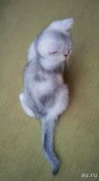 Лот: 8708237. Фото: 5. Два замечательных маленьких котика