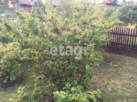 Лот: 25292169. Фото: 8. 2-комн. дача , садоводческое некоммерческое...