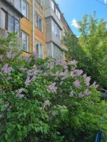 Лот: 25383763. Фото: 12. 1-комн. квартира , Красноярск...