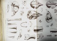 Лот: 14997719. Фото: 11. Ученые Записки Императорского...
