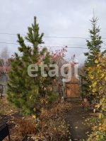 Лот: 25293835. Фото: 12. 2-комн. дом , село Новотроицкое...