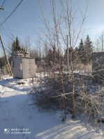 Лот: 13326728. Фото: 4. дачный участок Емельяновский район... Красноярск