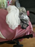 Лот: 9558058. Фото: 3. Прогулочная коляска. Дети растут