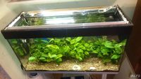 Лот: 8369947. Фото: 4. Аквариум 100 литров с подставкой... Красноярск