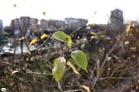 Лот: 1261713. Фото: 3. сегодня ! fisheye zenitar 16 mm... Красноярск