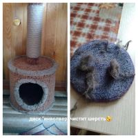 Лот: 12147572. Фото: 5. Диск Инловер Гринвей